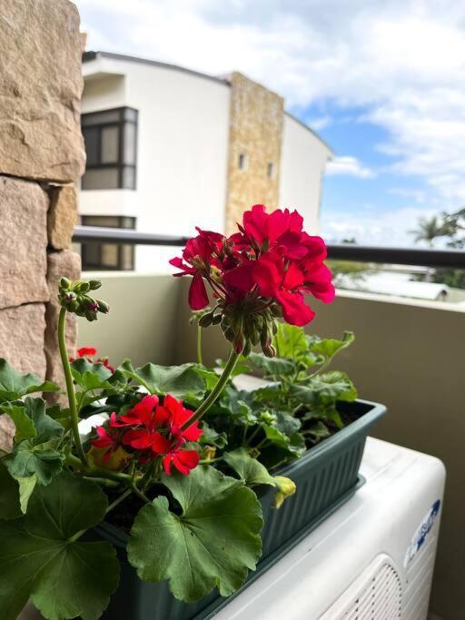 Apartment Cr Mariposa Cozy Retreat With Pool,tennis,gym,free Wifi